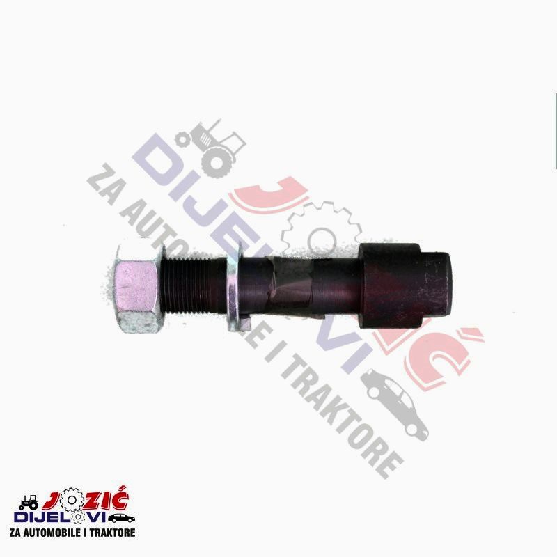 Daisy on the Ohoopee